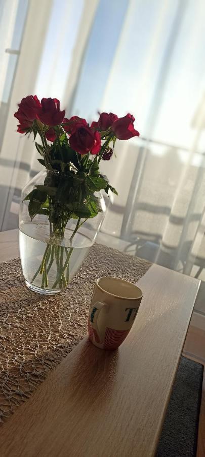 Nova Apartment Санок Екстериор снимка