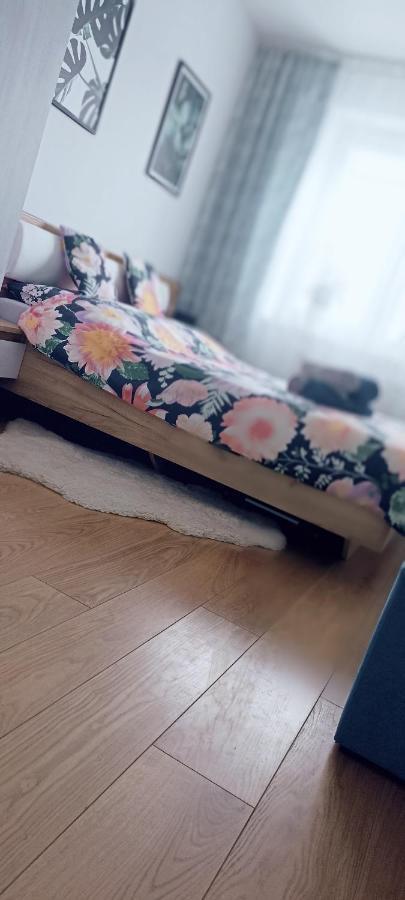 Nova Apartment Санок Екстериор снимка