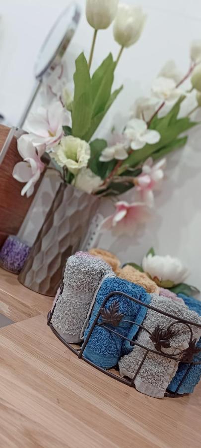 Nova Apartment Санок Екстериор снимка